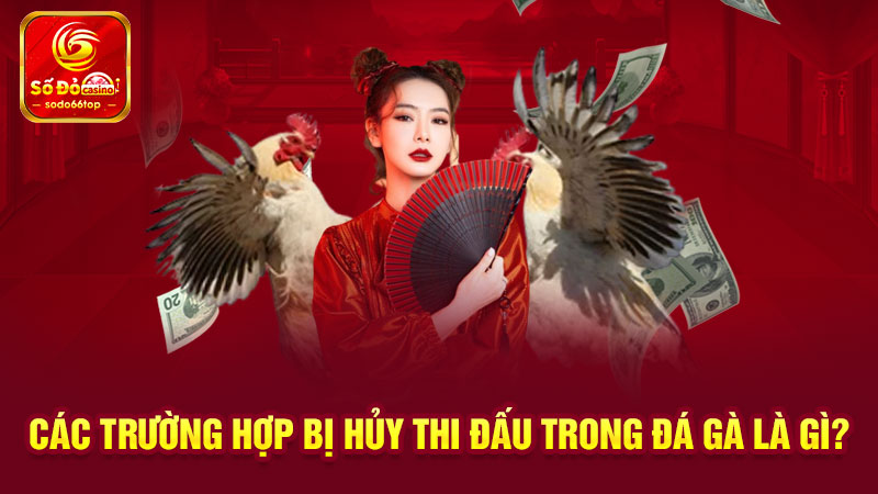 Các trường hợp bị hủy thi đấu trong đá gà là gì?