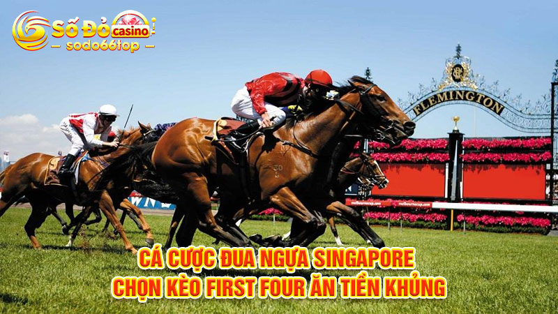 Cá cược đua ngựa Singapore chọn kèo First Four ăn tiền khủng