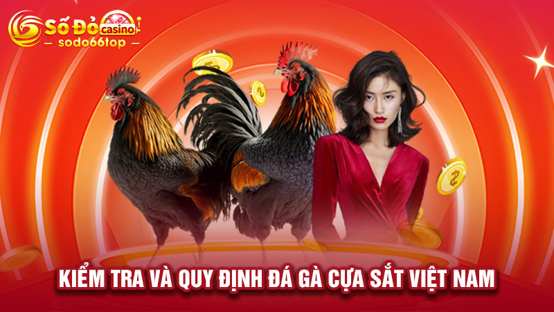 Kiểm tra và quy định đá gà cựa sắt Việt Nam