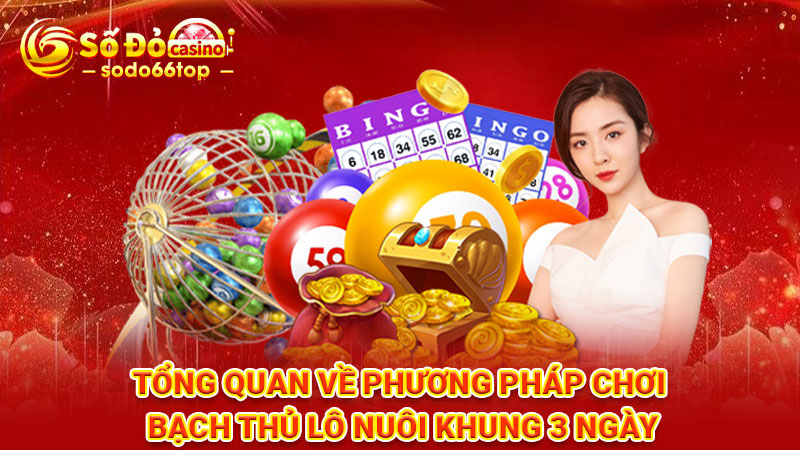 Tổng quan về phương pháp chơi Bạch thủ lô nuôi khung 3 ngày