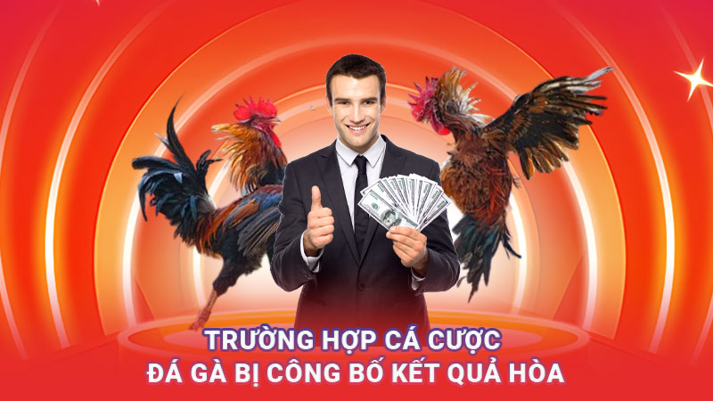 Trường hợp cá cược đá gà bị công bố kết quả hòa