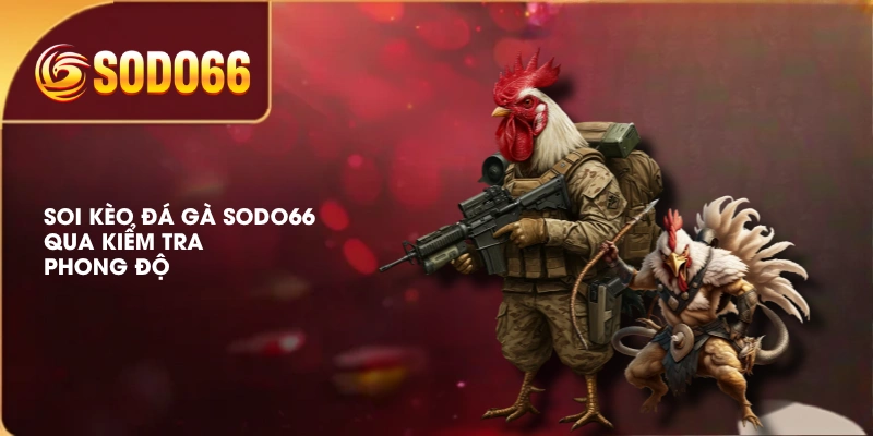 Soi Kèo Đá Gà SODO66 | Xem Phong Độ, Thể Trạng, Biến Động 2 Soi kèo đá gà SODO66 qua kiểm tra phong độ